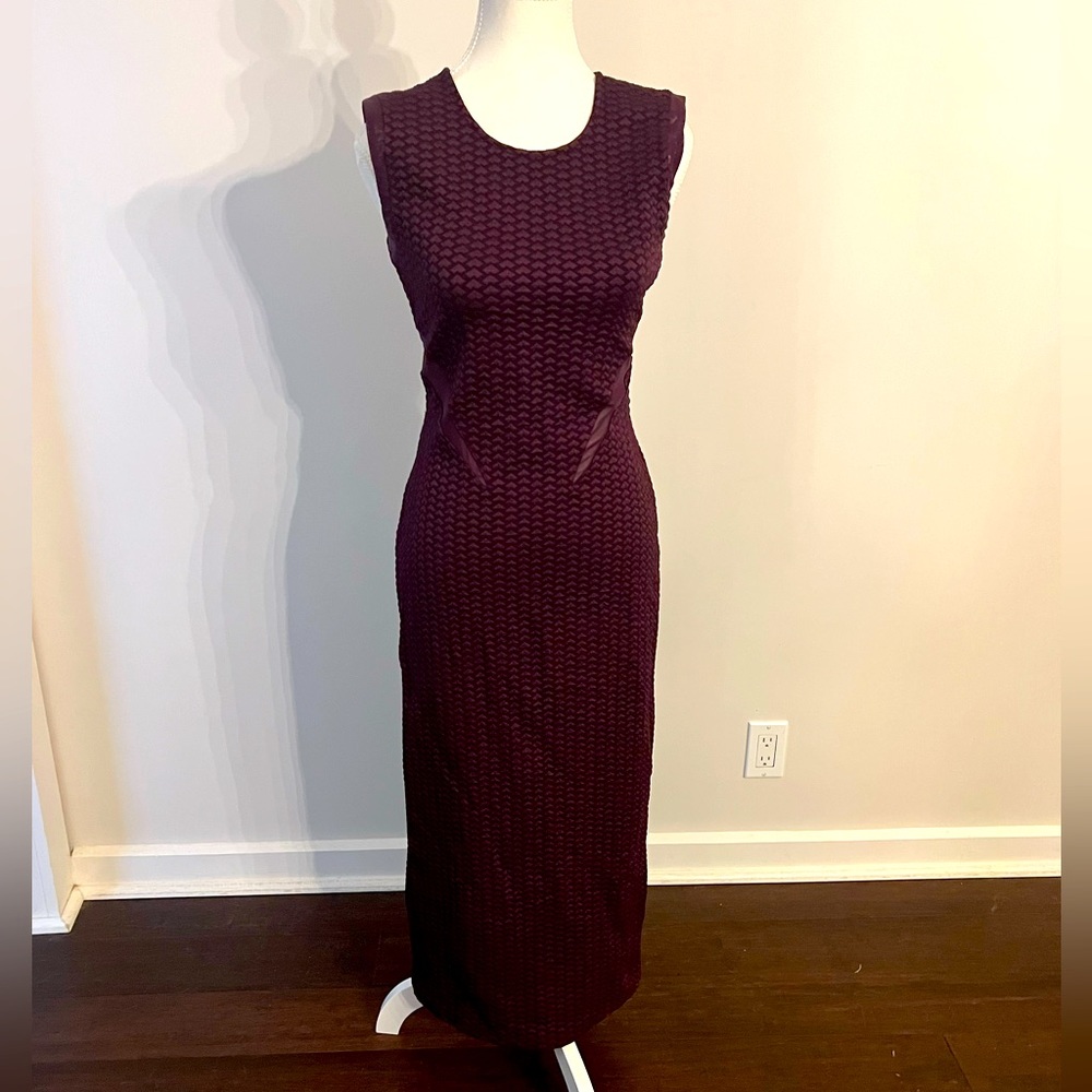 Opening Ceremony Fitted Dress With Mesh Panels, Size Small, Worn Once.